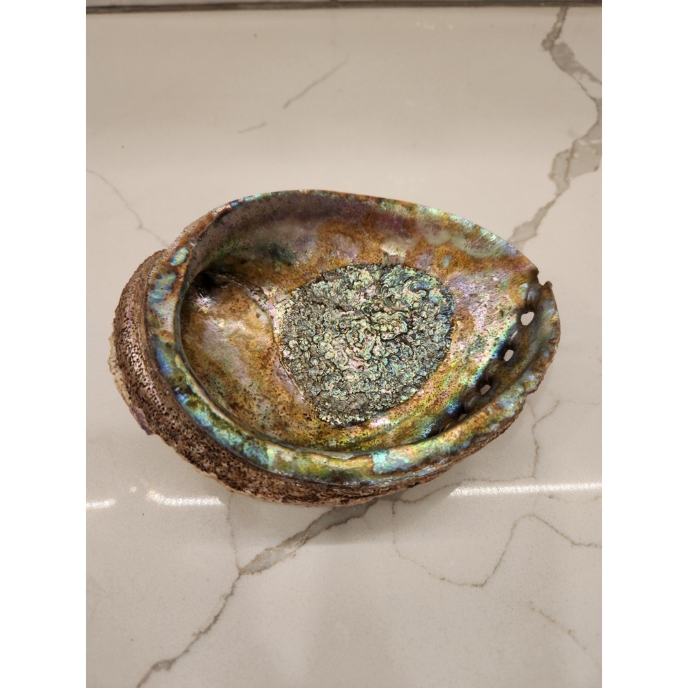 Abalone Shell Vintage Red 6" Long Seashell Beach Decor Trinket Dish Bowl